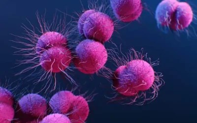 The Rise of Multi-Drug Resistant Gonorrhoea