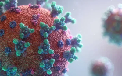 The Role of RSV in the Burden of Respiratory Tract Infections