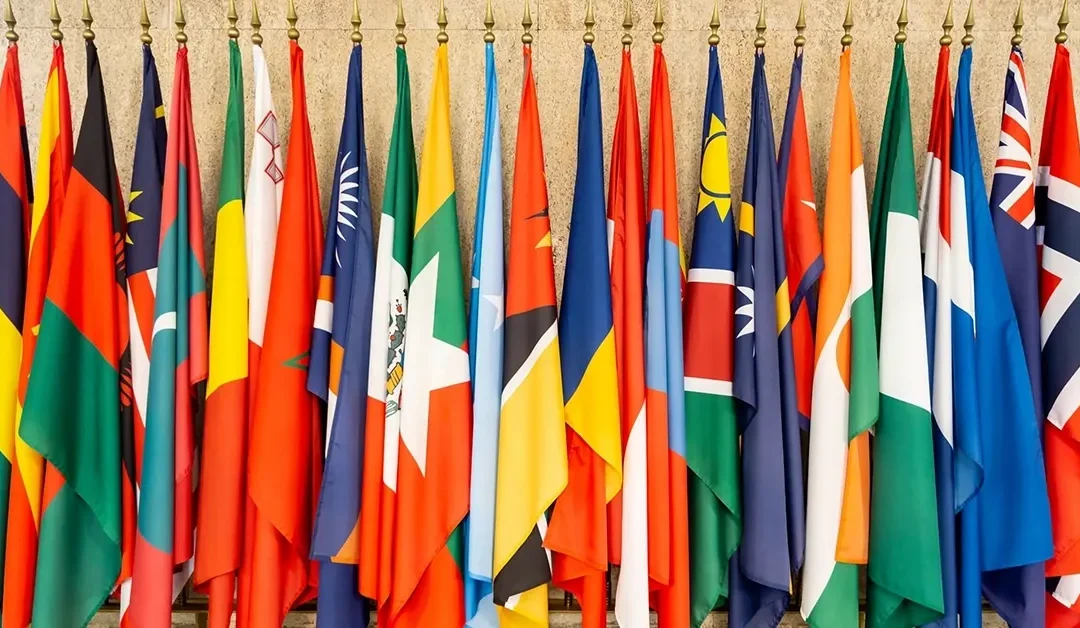A guide to the UN General Assembly High-Level Meeting on Antimicrobial Resistance 2024