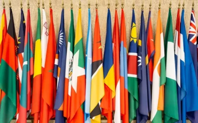 A guide to the UN General Assembly High-Level Meeting on Antimicrobial Resistance 2024